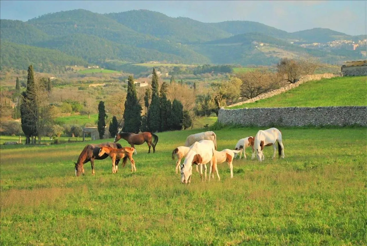 Villa Maria Chiaramonte Gulfi